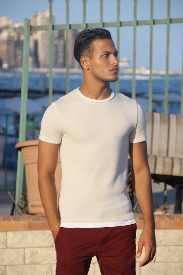 Ahmed Ammar Model