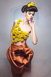 Ana Maria Ilinca model. Photoshoot of model Ana Maria Ilinca demonstrating Fashion Modeling.Fashion Modeling Photo #94701