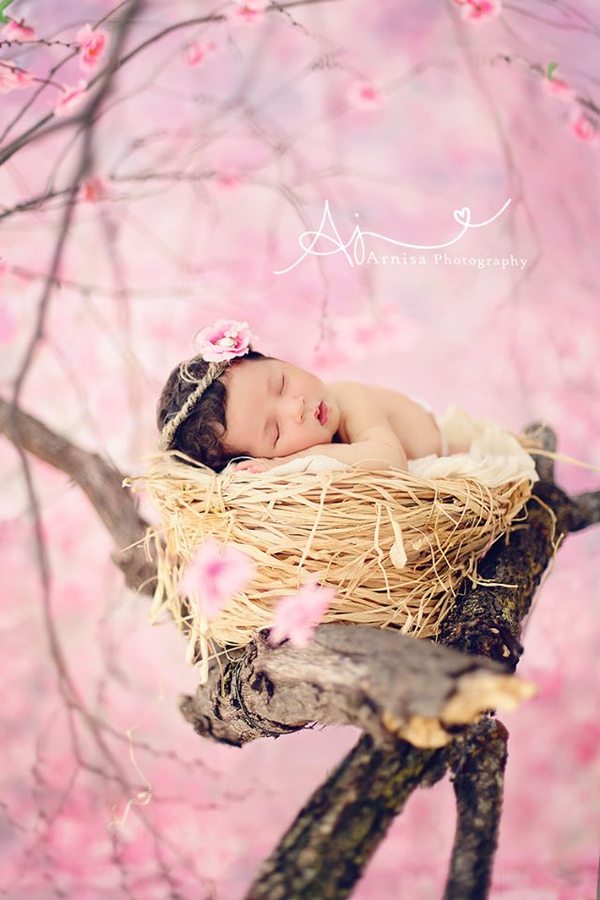 Arnisa Skapi photographer (fotografe). Work by photographer Arnisa Skapi demonstrating Baby Photography.Freelance photographer in TiranaBaby Photography Photo #220736