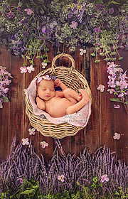 Arnisa Skapi photographer (fotografe). Work by photographer Arnisa Skapi demonstrating Baby Photography.Baby Photography Photo #220769