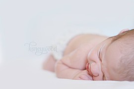 Karey Wood newborn & family photographer. photography by photographer Karey Wood. Photo #134986