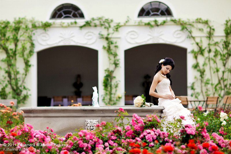 Katarina Zitnanska (Katar&#237;na Žitňansk&#225;) photographer. Work by photographer Katarina Zitnanska demonstrating Wedding Photography.Editorial SceneWedding Photography Photo #102925