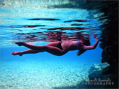 Manolis Tsantakis photographer (Μανόλης Τσαντάκης φωτογράφος). photography by photographer Manolis Tsantakis.Underwater Photography Photo #170084