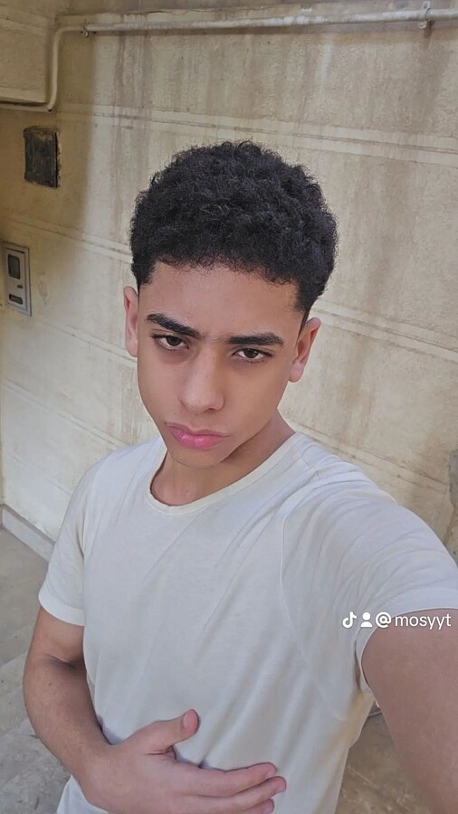 Mostafa Hisham Model