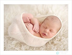 Robin Long newborn photographer. photography by photographer Robin Long. Photo #54854