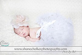 Shane Chalker photographer. Work by photographer Shane Chalker demonstrating Baby Photography.Baby Photography Photo #48110