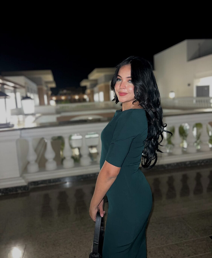 Shushi El Sayed Model